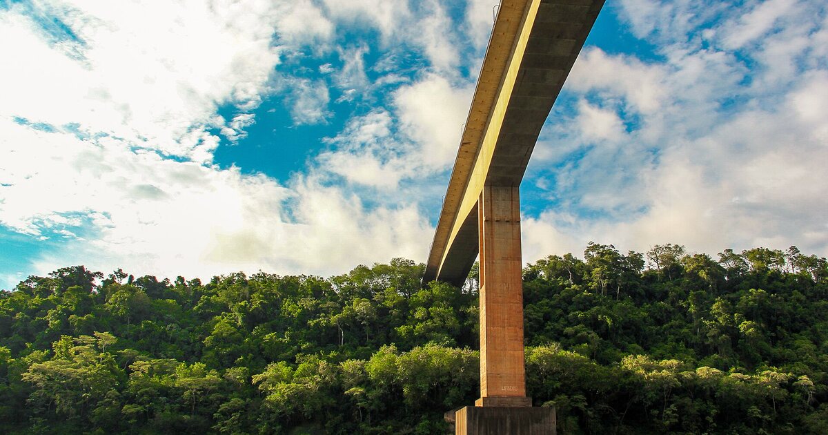 The Tancredo Neves bridge seen from below, crossing high over forest between Brazil and Argentina