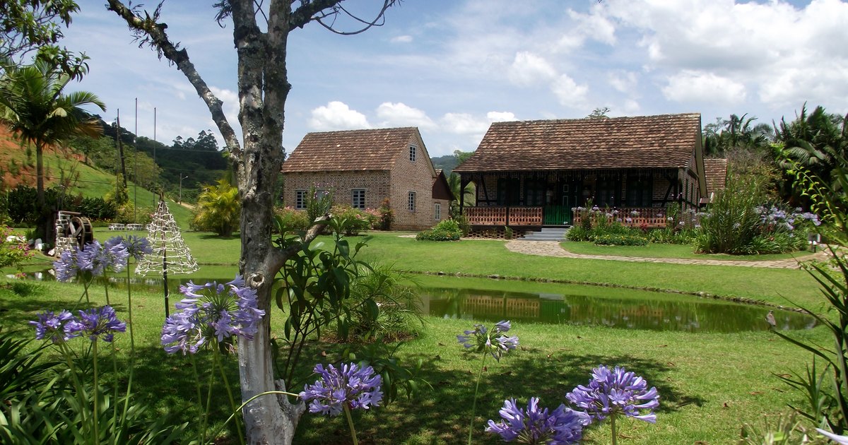 Half-timbered colonial farm buildings with shingled roofs in Pomerode, Santa Catarina, seen across a small pond, with palm trees and agapanthus flowers in the foreground under a tropical sky