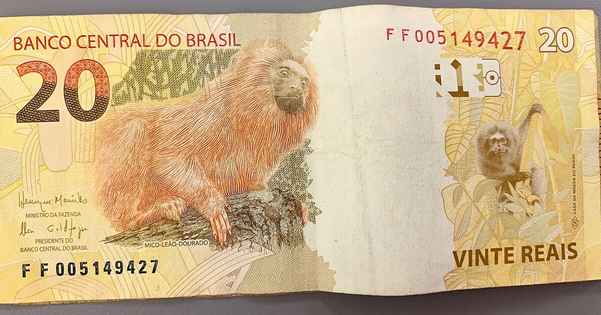 A twenty-real note lying on a plain grey surface, the golden lion tamarin facing left